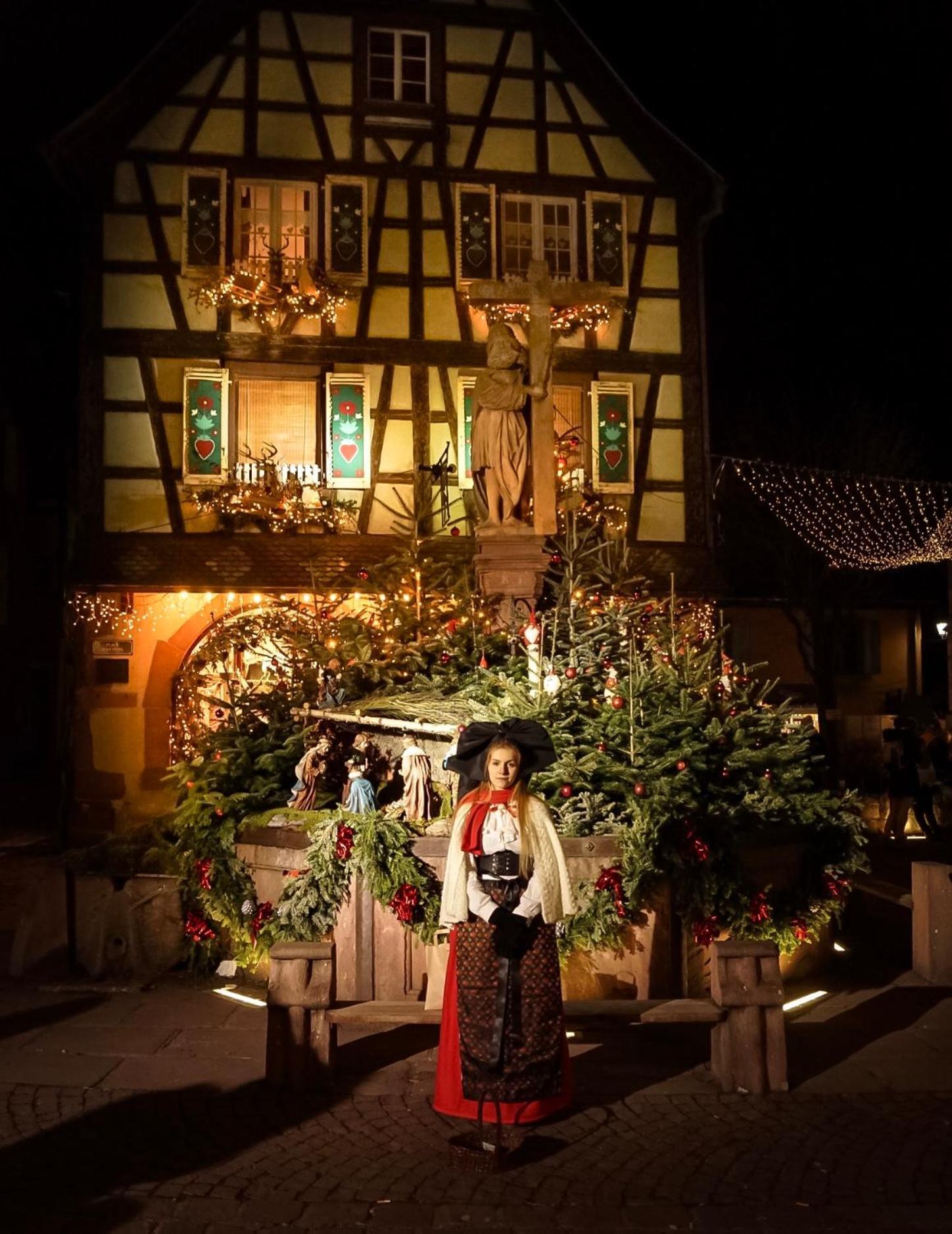 Gite Les Lilas, Centre Alsace, Avec Jacuzzi Mackenheim Ngoại thất bức ảnh
